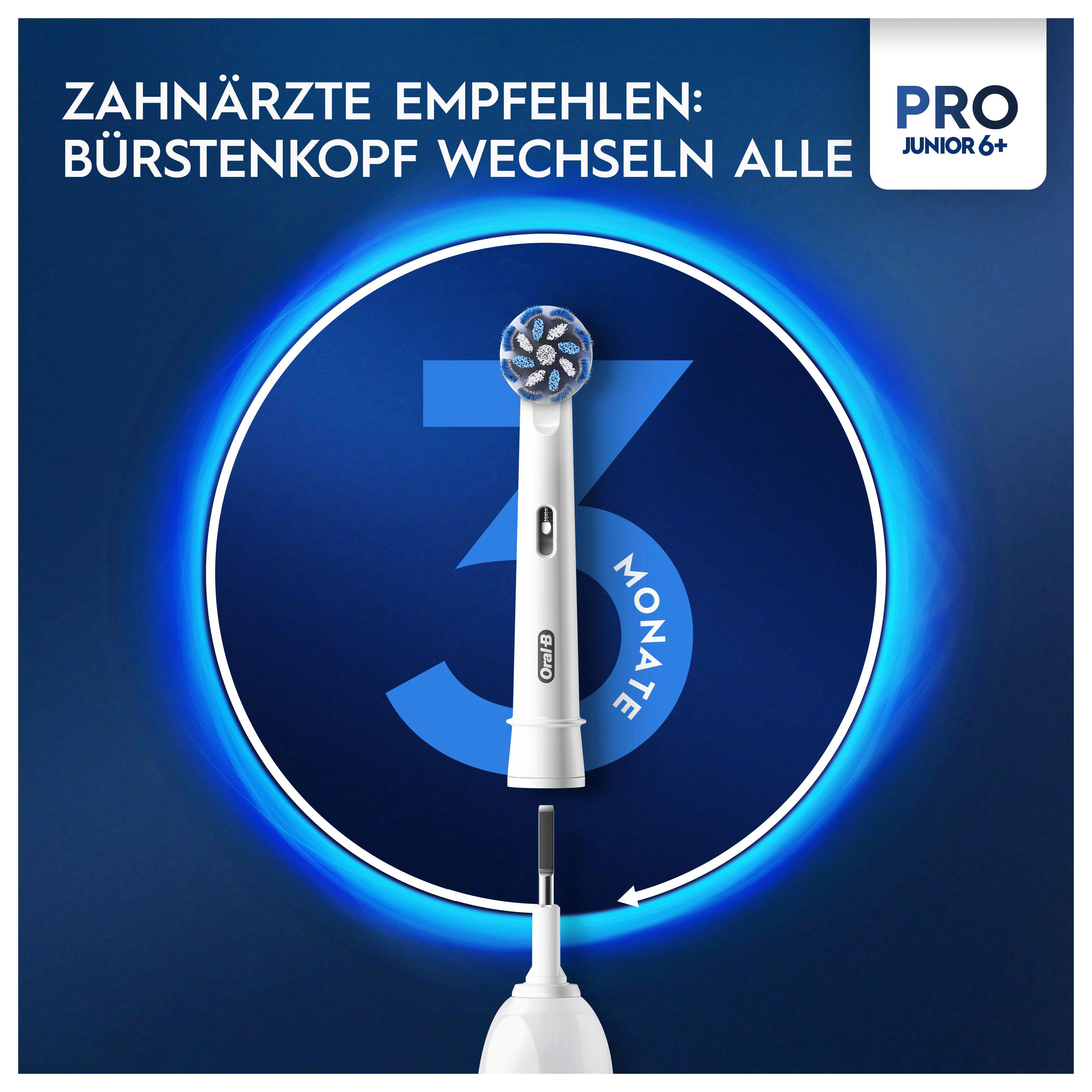 Zahnbürstenkopf mit Borsten und eine 3-Monats-Kreisgrafik. Text empfiehlt den Kopf zu wechseln.