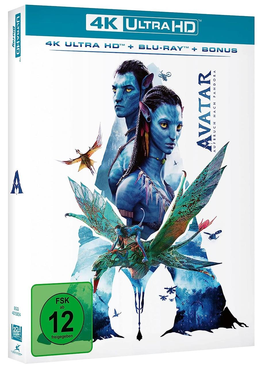DVD-Hülle des Films Avatar, mit einem blauhäutigen Avatar.