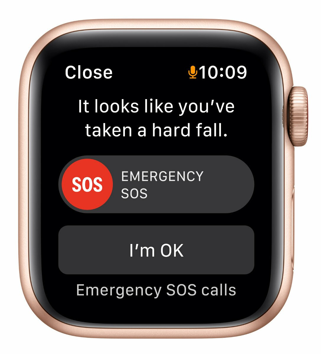 SmartWatch APPLE Watch SE GPS+Cellular Koperta 40 mm z aluminium w kolorze złotym z paskiem sportowym w kolorze jesiennego liścia/białym MKQY3WB/A