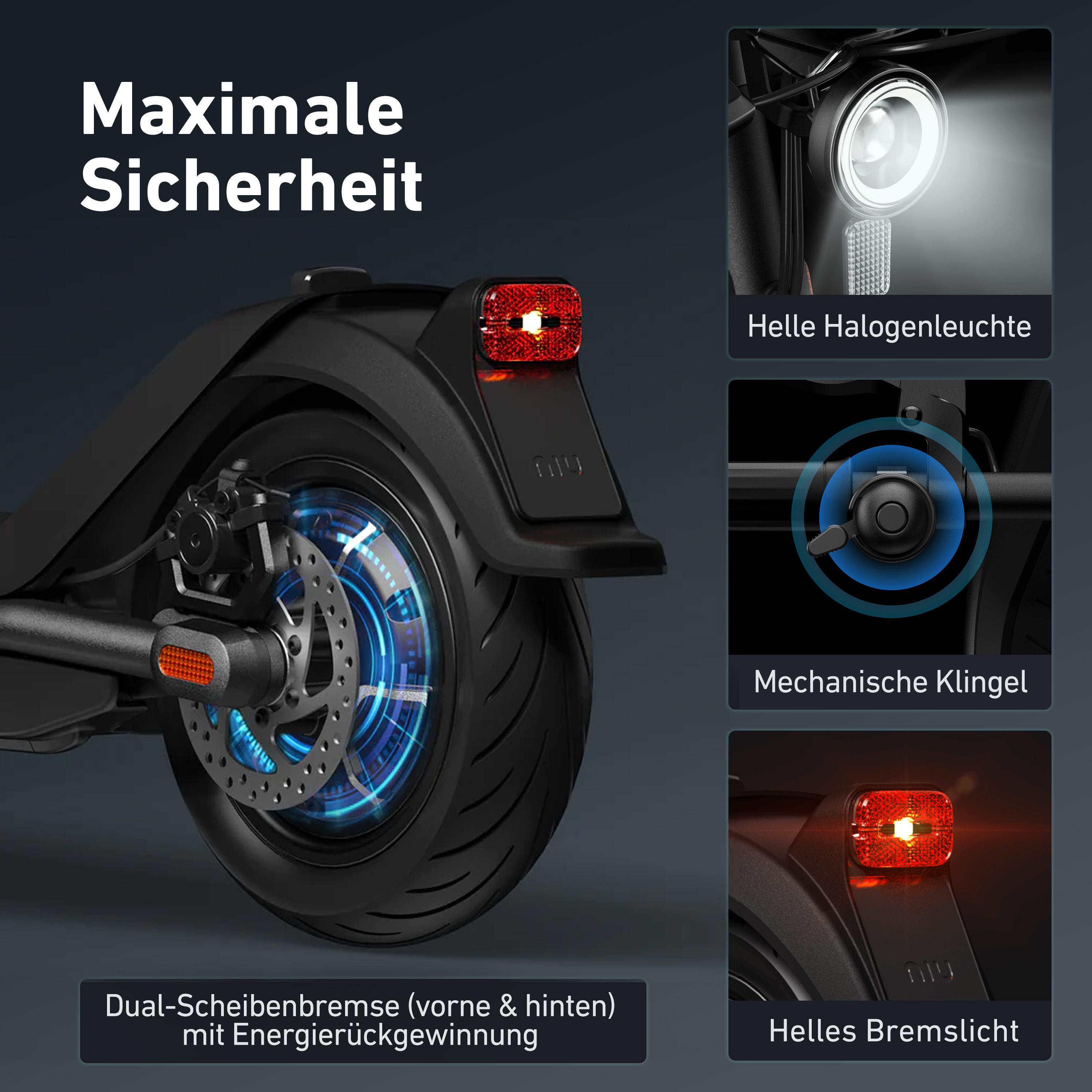 NIU KQi3 Pro E-Scooter (9,5 Zoll, Schwarz)