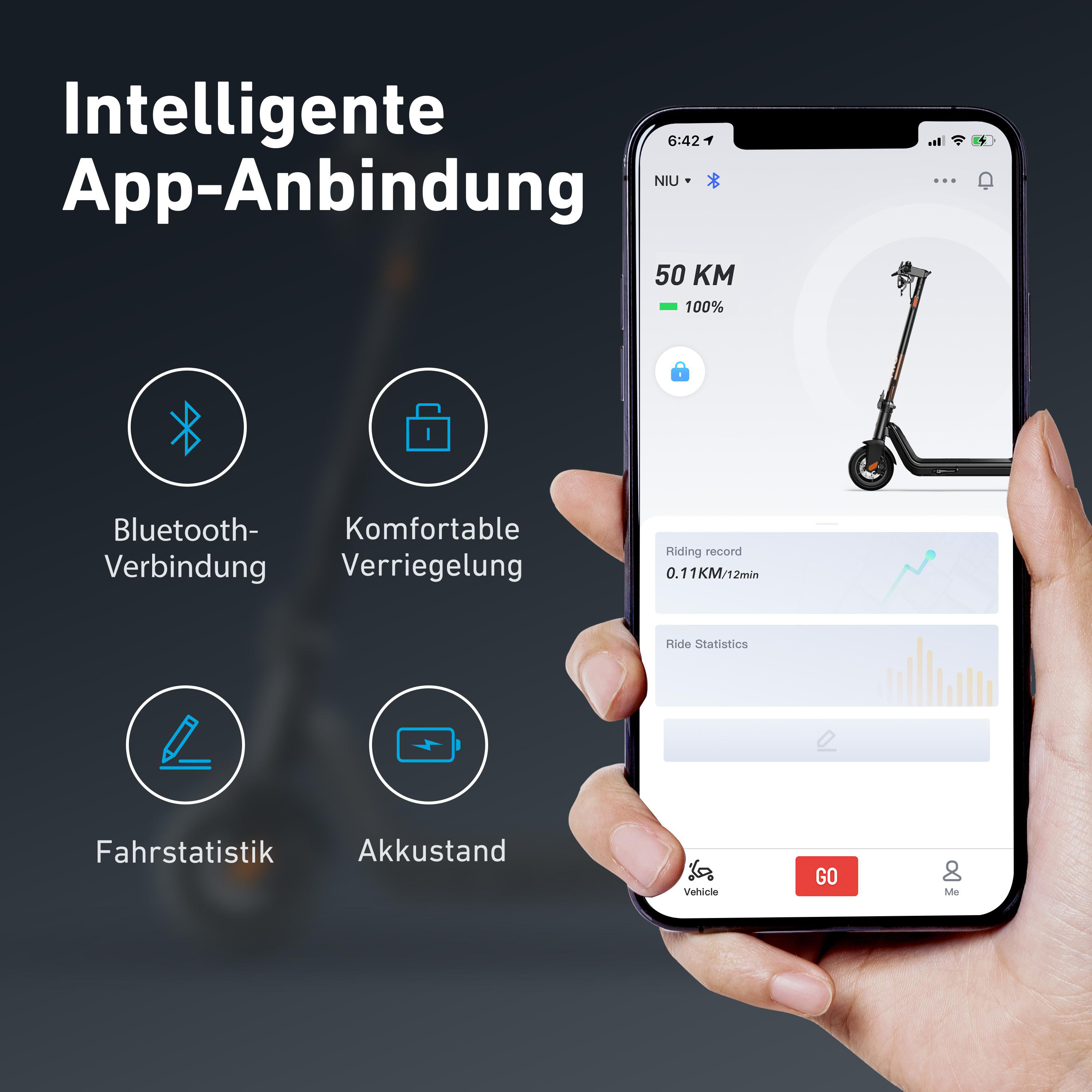 NIU KQi3 Pro E-Scooter (9,5 Zoll, Schwarz)