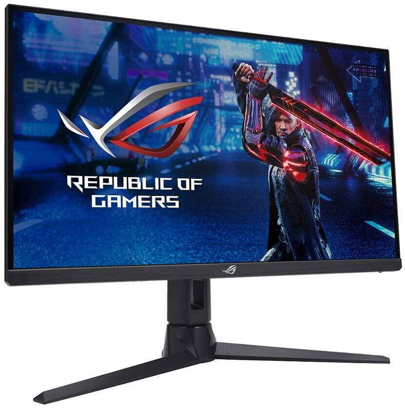 Monitor komputera wyświetlający logo 'REPUBLIC OF GAMERS' i wojownika.