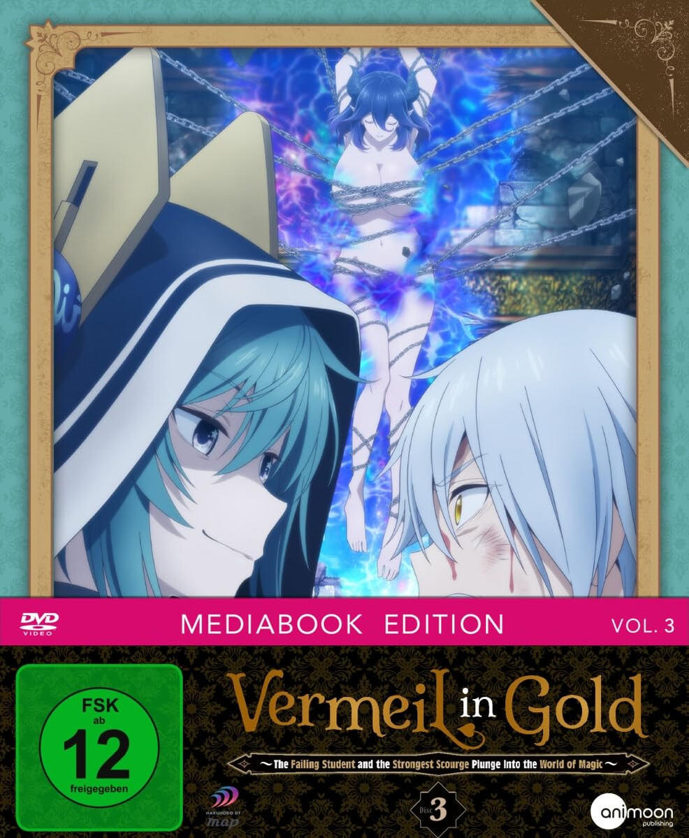 Anime-DVD-Cover mit zwei Charakteren, einer mit Ketten gefesselt, Text und Bewertung.