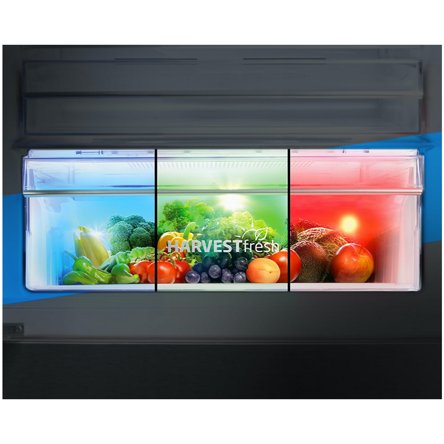 Refrigerator interior: vegetables, fruits in sections with blue, green, and red lighting. Text: HARVESTfresh.