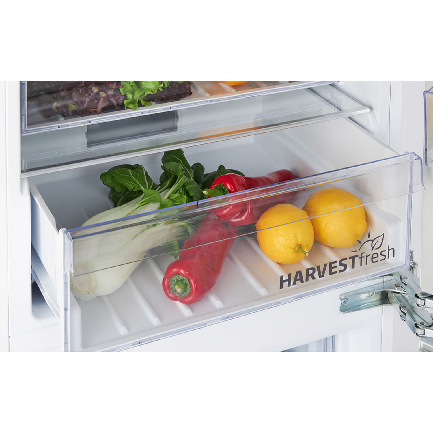 Fridge drawer with vegetables. Bok choy, red peppers, and lemons inside a clear, labeled container.