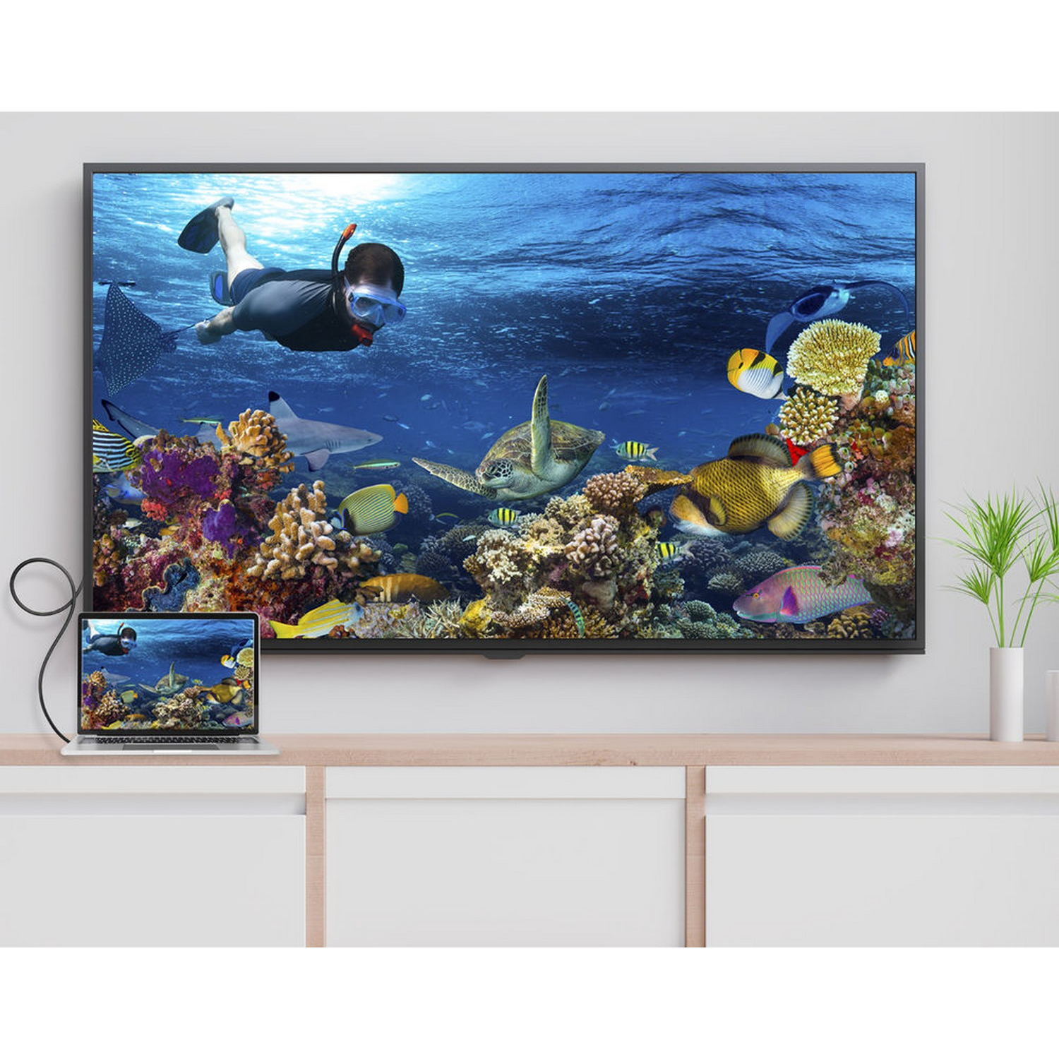 TV montrant une scène sous-marine. Ordinateur portable montre la même scène. Table.