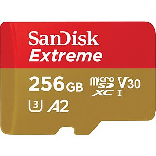 SANDISK Carte mémoire Extreme microSDXC 256 GB (2025833)