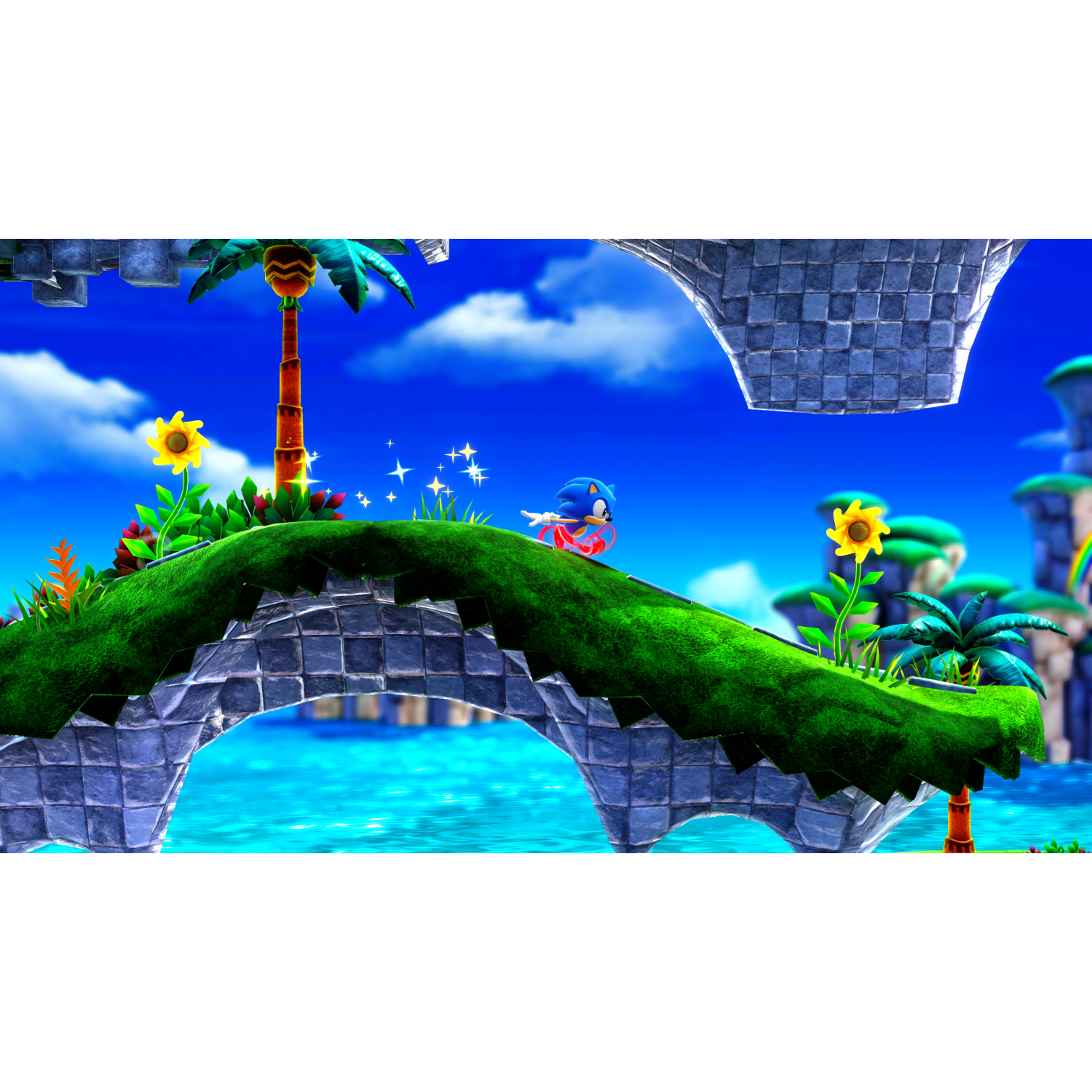 Sonic rent op een groene brug met blauw water, lucht en palmbomen op de achtergrond.
