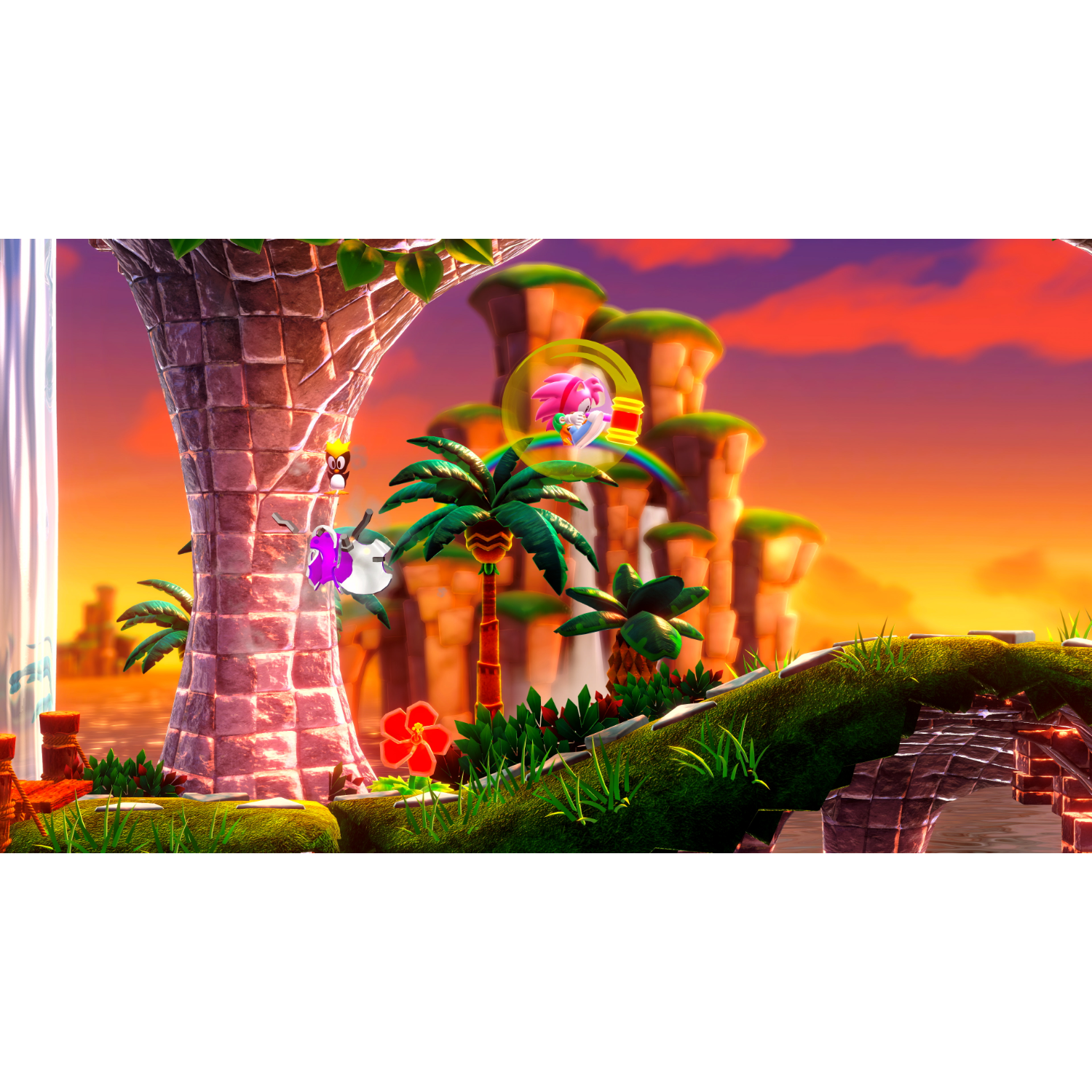 Een Sonic game level met personages in de lucht, palmbomen en een zonsondergang achtergrond.
