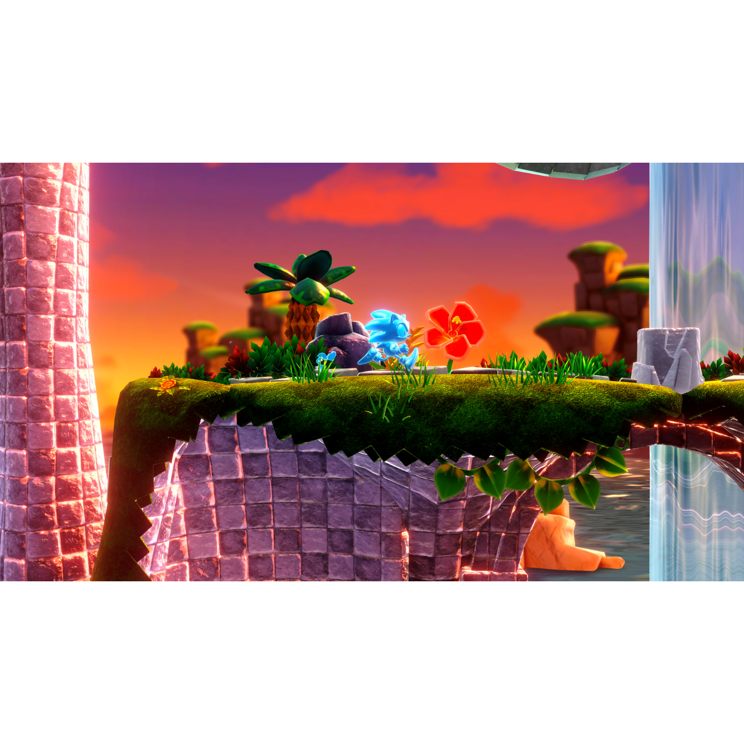 Een cartoonscene met Sonic de Egel en een rode bloem.