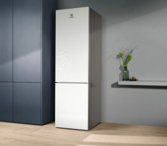 Biała lodówka z zamrażarką u dołu. Stoi obok granatowej szafki i półki z kwiatami.