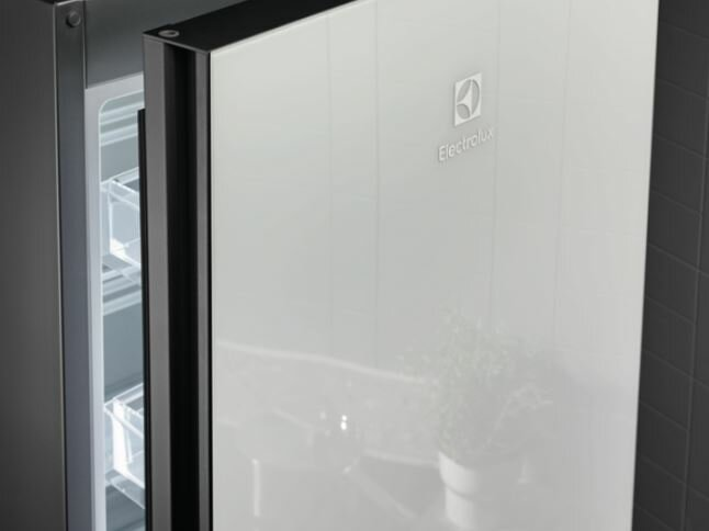 Drzwi lodówki z logo Electrolux, odbijające roślinę i widok wnętrza.