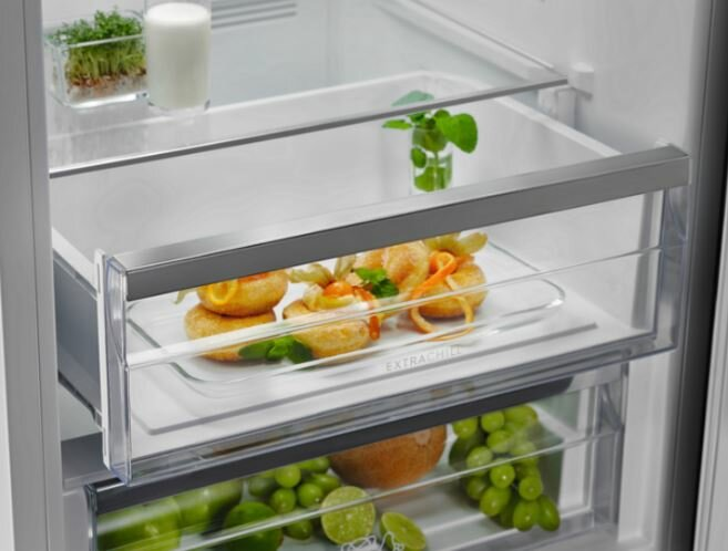 Wnętrze lodówki z półkami. Zawiera jedzenie, takie jak pączki i winogrona. Jest też mała roślina.