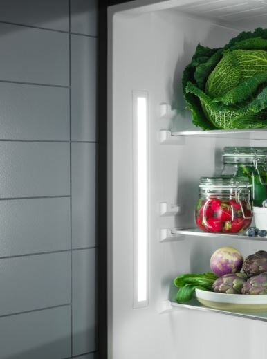 Zbliżenie wnętrza lodówki z półkami i produktami, oświetlone pionowym światłem.