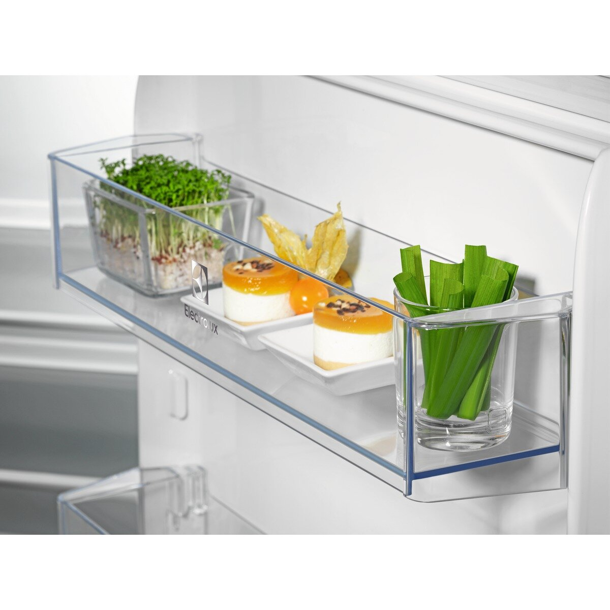 Lodówka ELECTROLUX KNT1LF18S1 seria 300