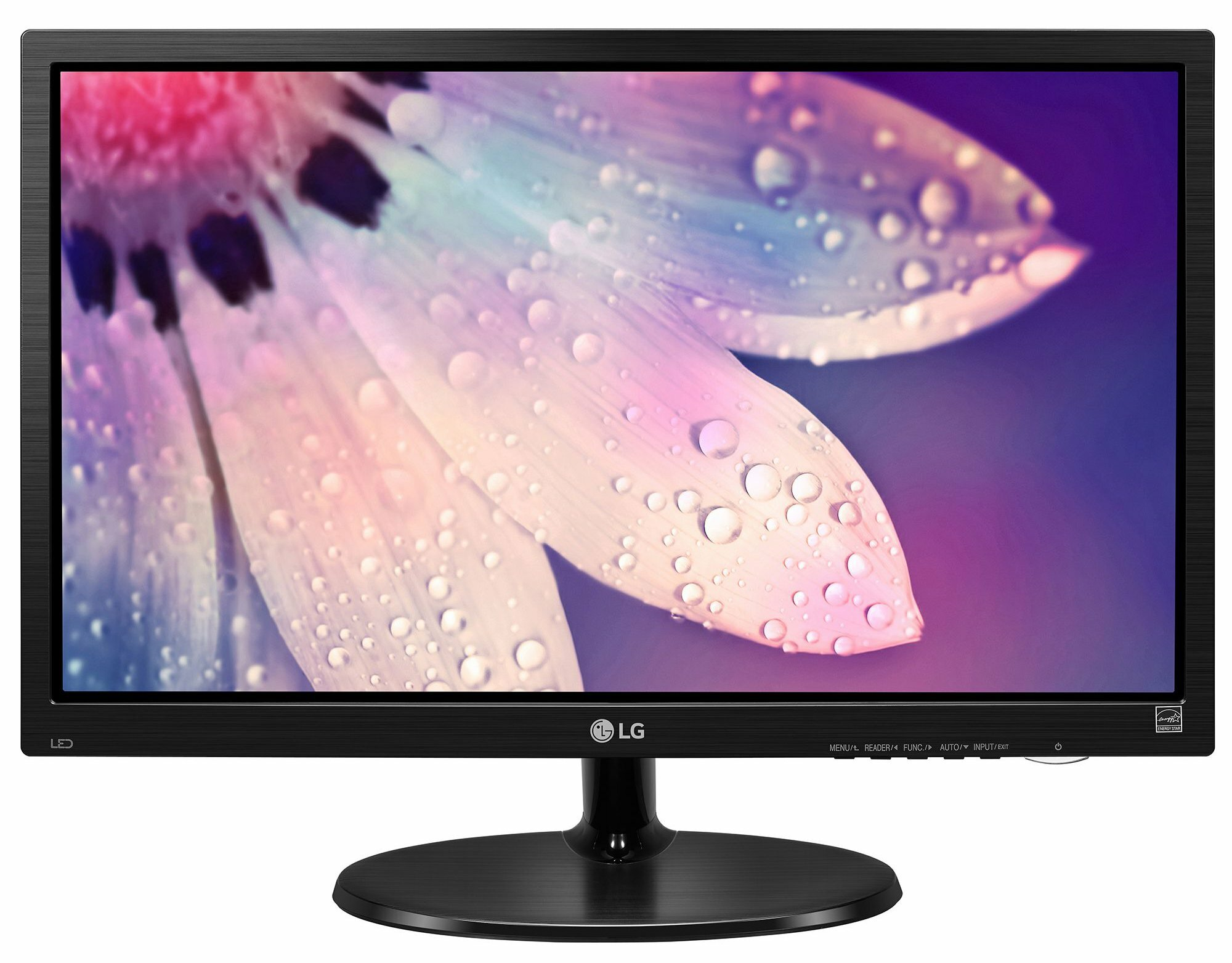 Monitor LG 19M38A-B