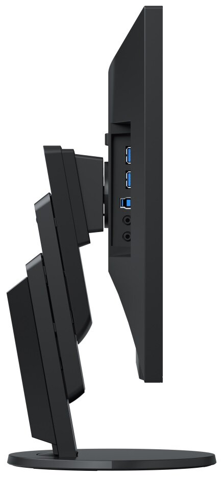 Monitor EIZO FlexScan EV2451 23.8 FHD IPS 5ms Czarny