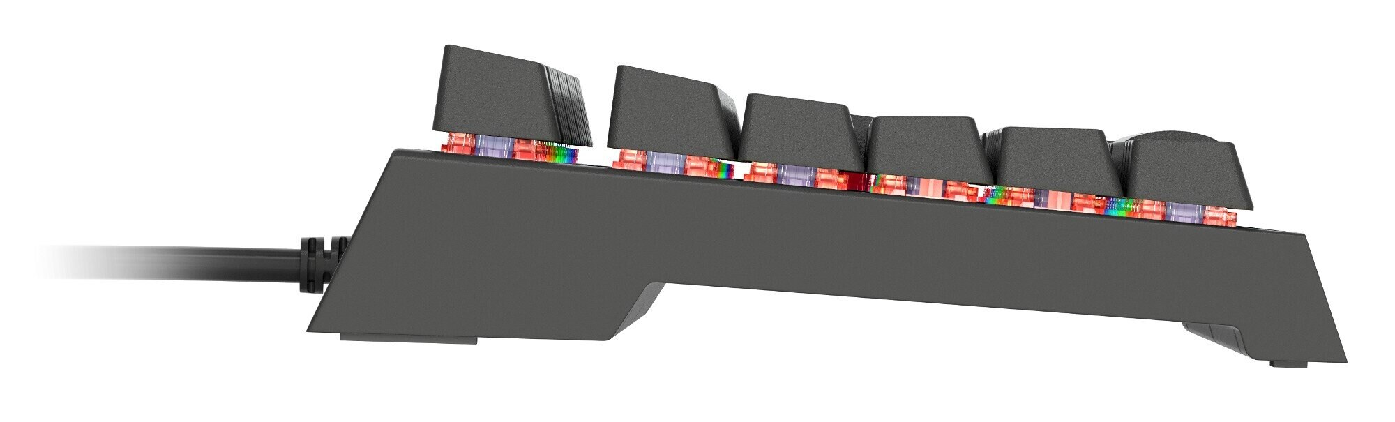 Klawiatura przewodowa GENESIS Thor 200 RGB