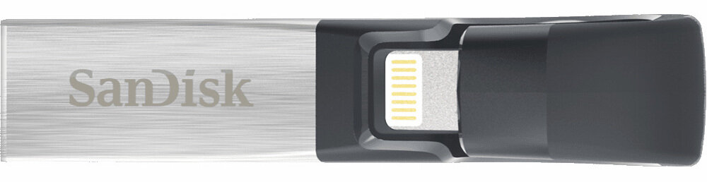 Pamięć USB SANDISK iXpand 16 GB Srebrno-czarny