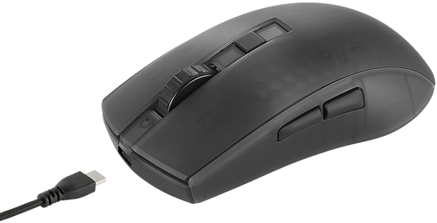 Eine schwarze Computermaus mit einem USB-C-Kabel.