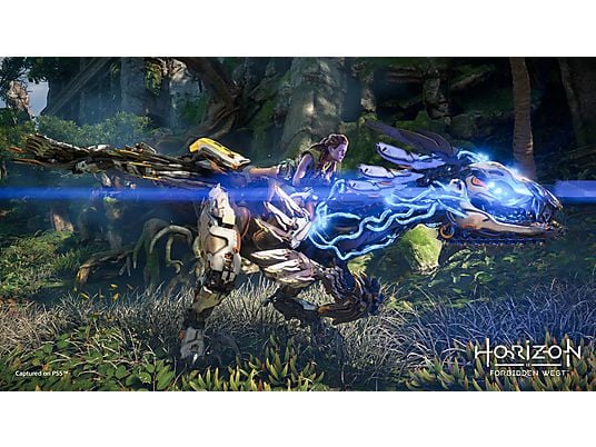 Gra PS4 Horizon Forbidden West (Kompatybilna z PS5)