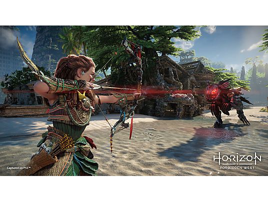 Gra PS4 Horizon Forbidden West (Kompatybilna z PS5)