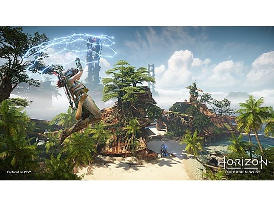 Gra PS4 Horizon Forbidden West (Kompatybilna z PS5)