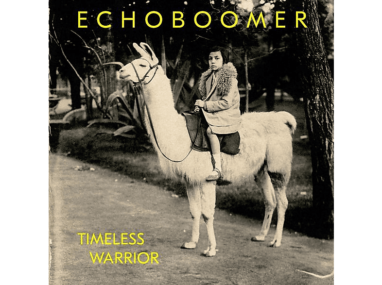 Echo Boomer | Timeless Warrior - (Vinyl) | SATURN