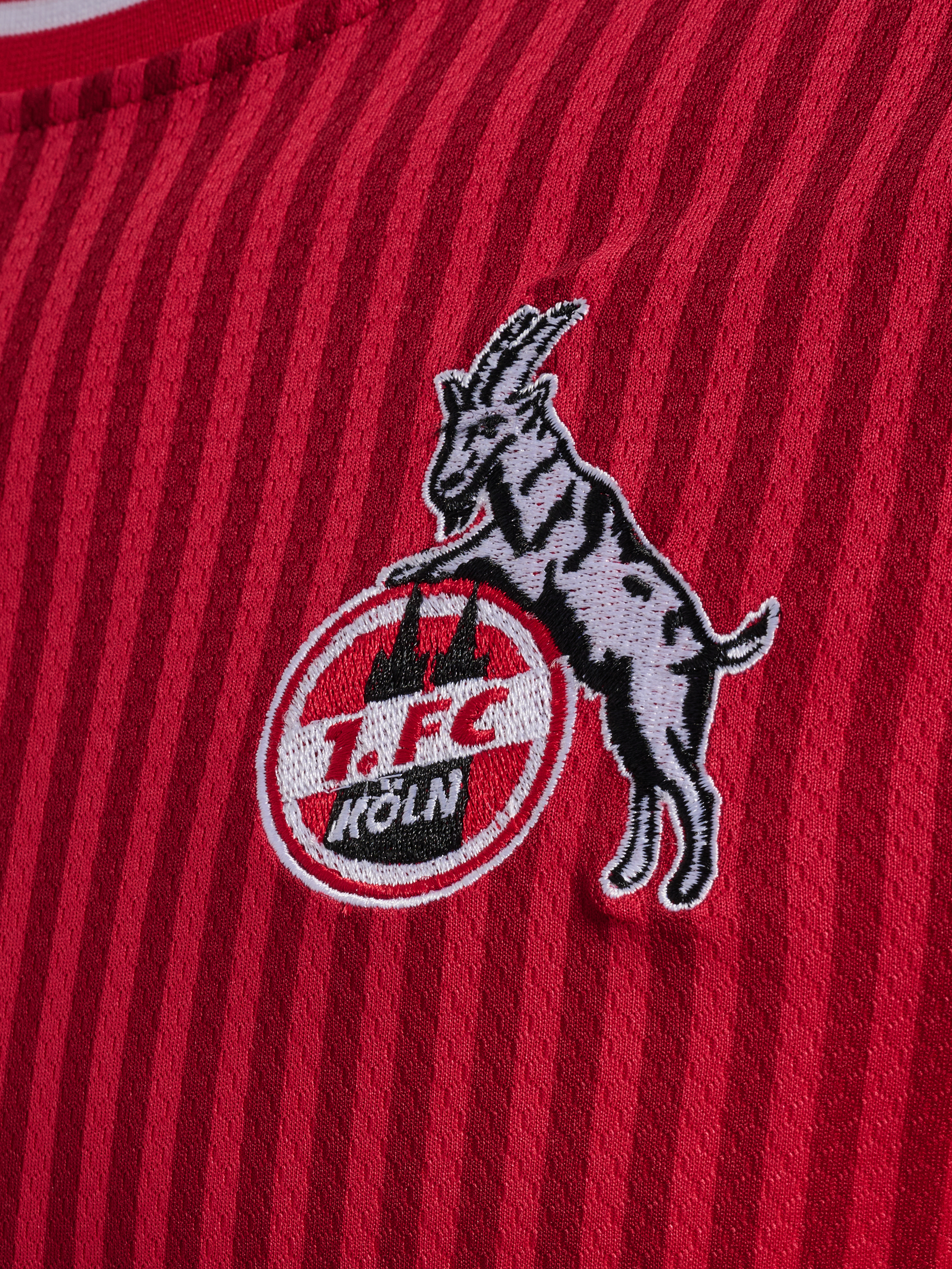 1. FC KÖLN 221162-L Auswärtstrikot Saison 23/24 Trikot