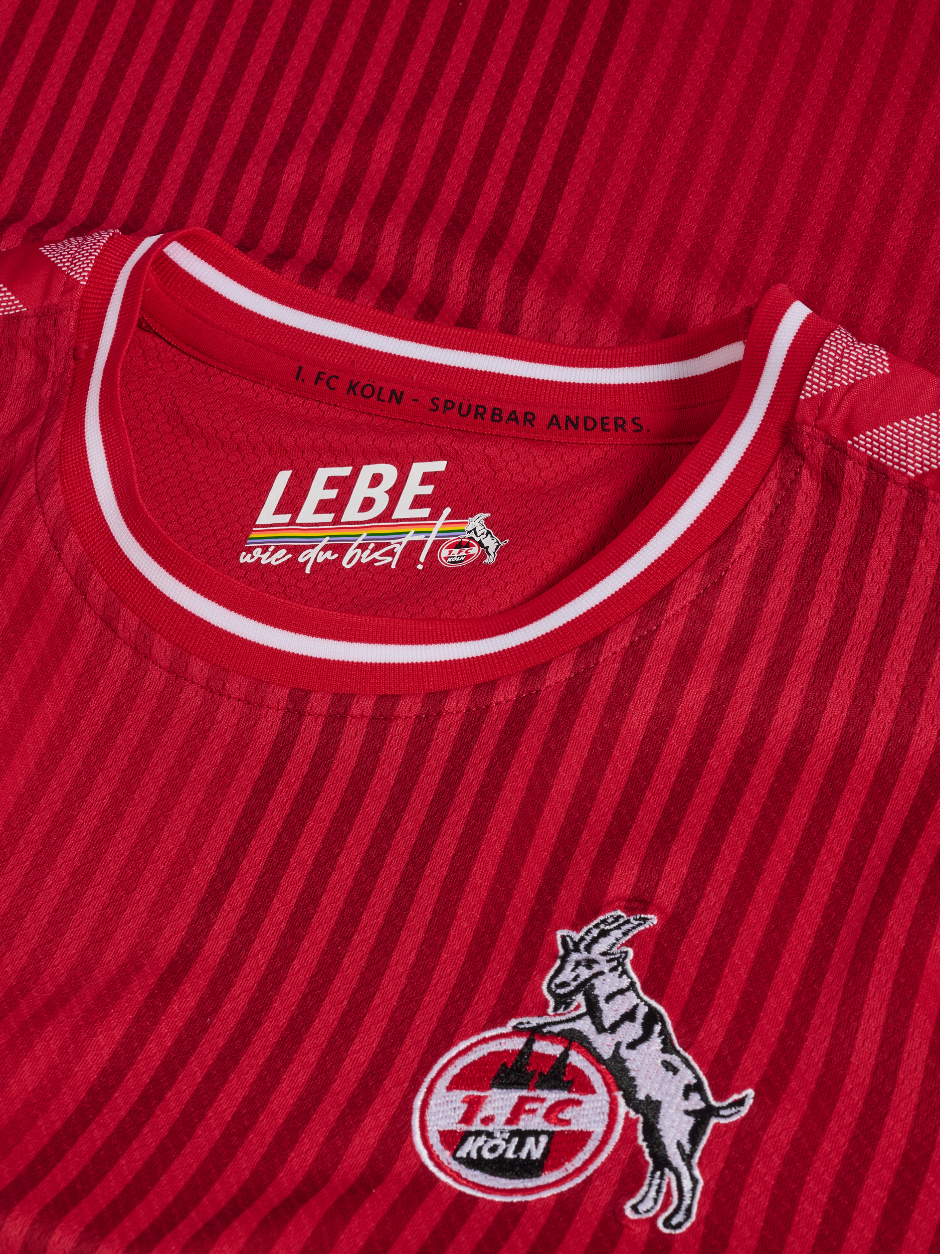 1. FC KÖLN 221162-L Auswärtstrikot Saison 23/24 Trikot