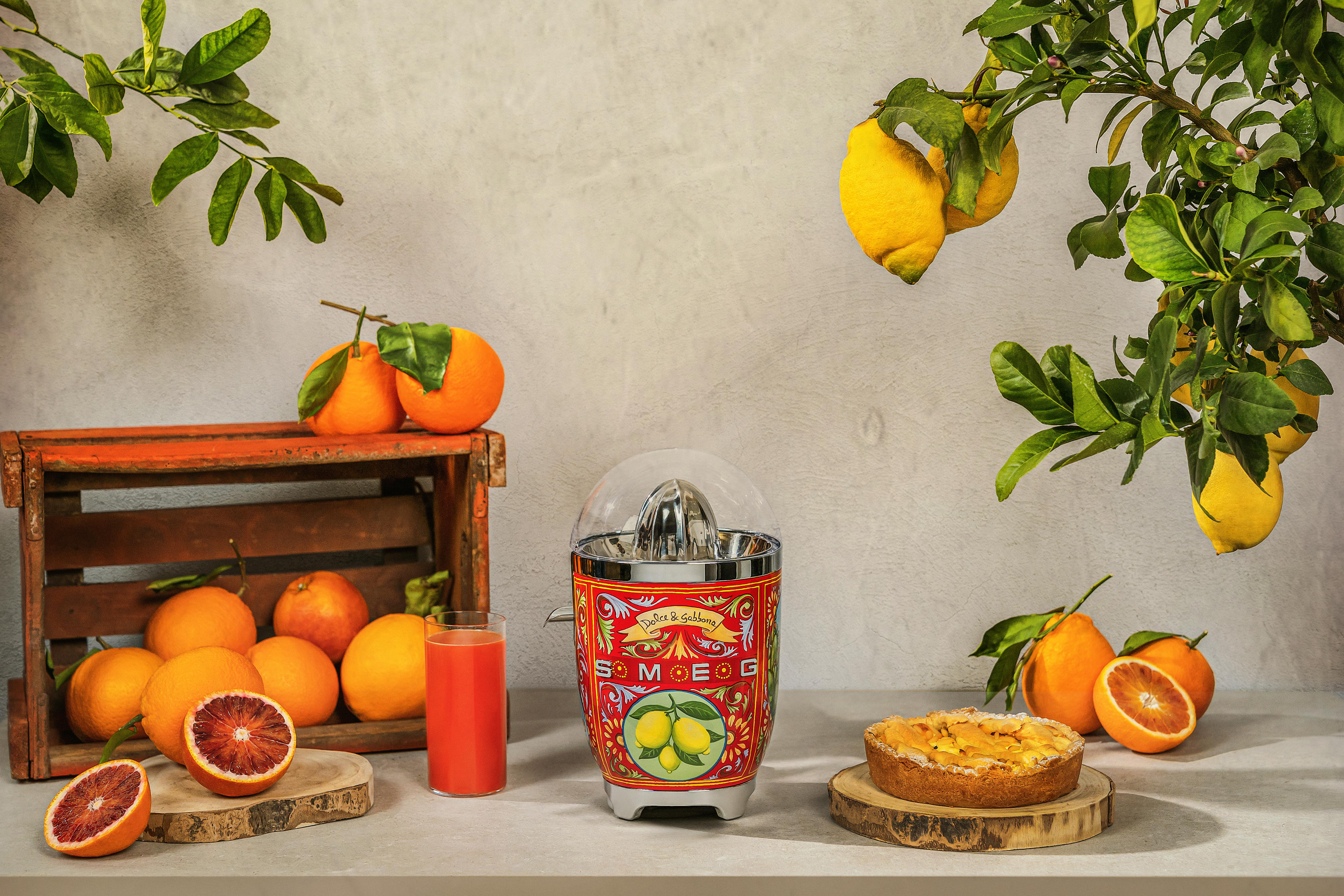 Eine Saftpresse und Orangen auf einer Arbeitsplatte mit einem Zitronenbaumzweig.
