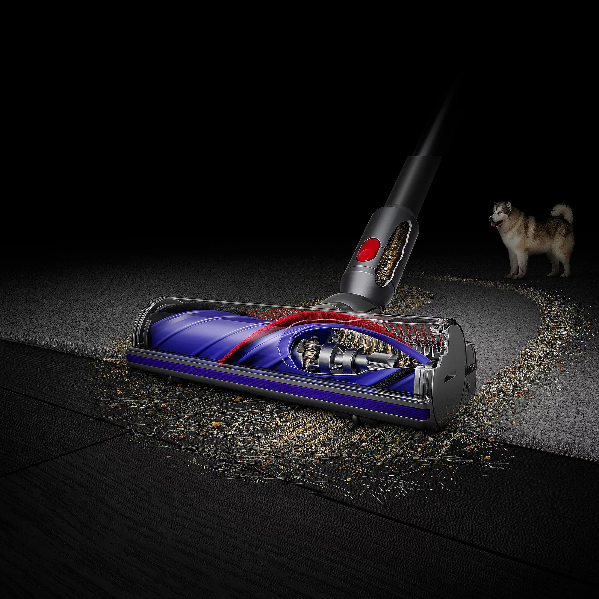 Odkurzacz bezprzewodowy DYSON V8 Absolute New 1