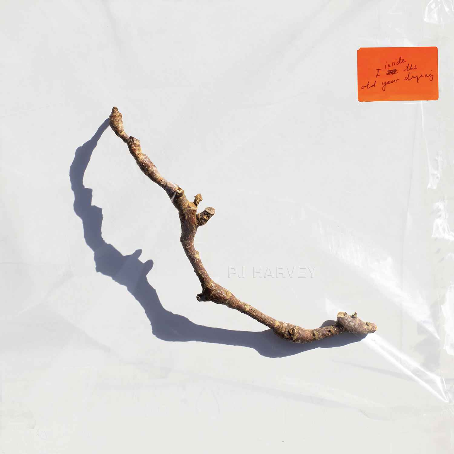Ein getrockneter Ast vor weißem Hintergrund, mit einem orangefarbenen Label.