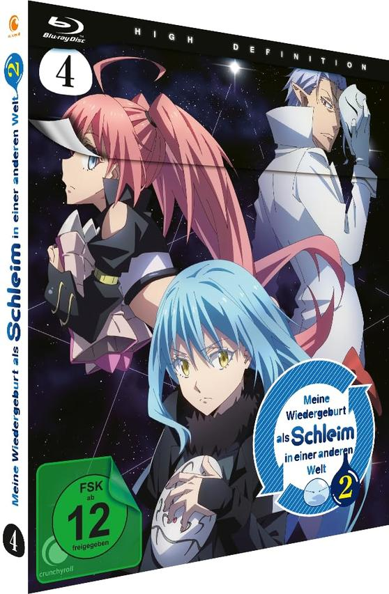 Cover-Art für eine Blu-ray Disc eines japanischen Animes, mit mehreren Charakteren.