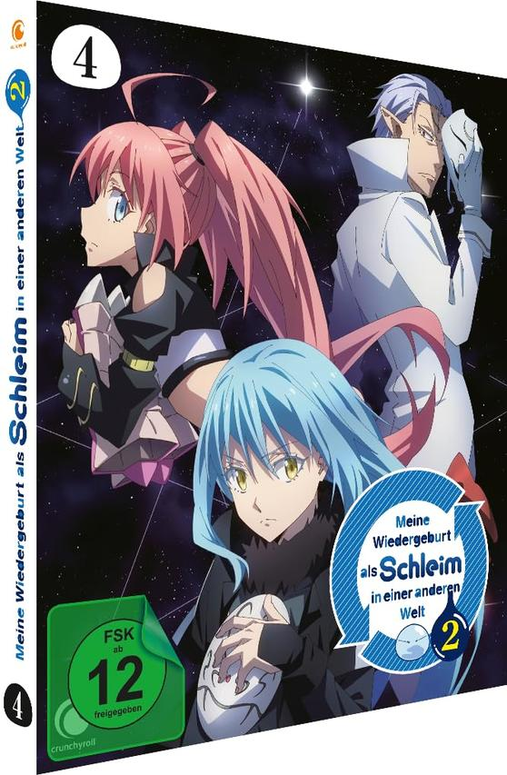 Anime-DVD-Cover mit drei Charakteren. Mädchen mit rosa Haaren, Mädchen mit blauen Haaren und ein Mann mit weißen Haaren.