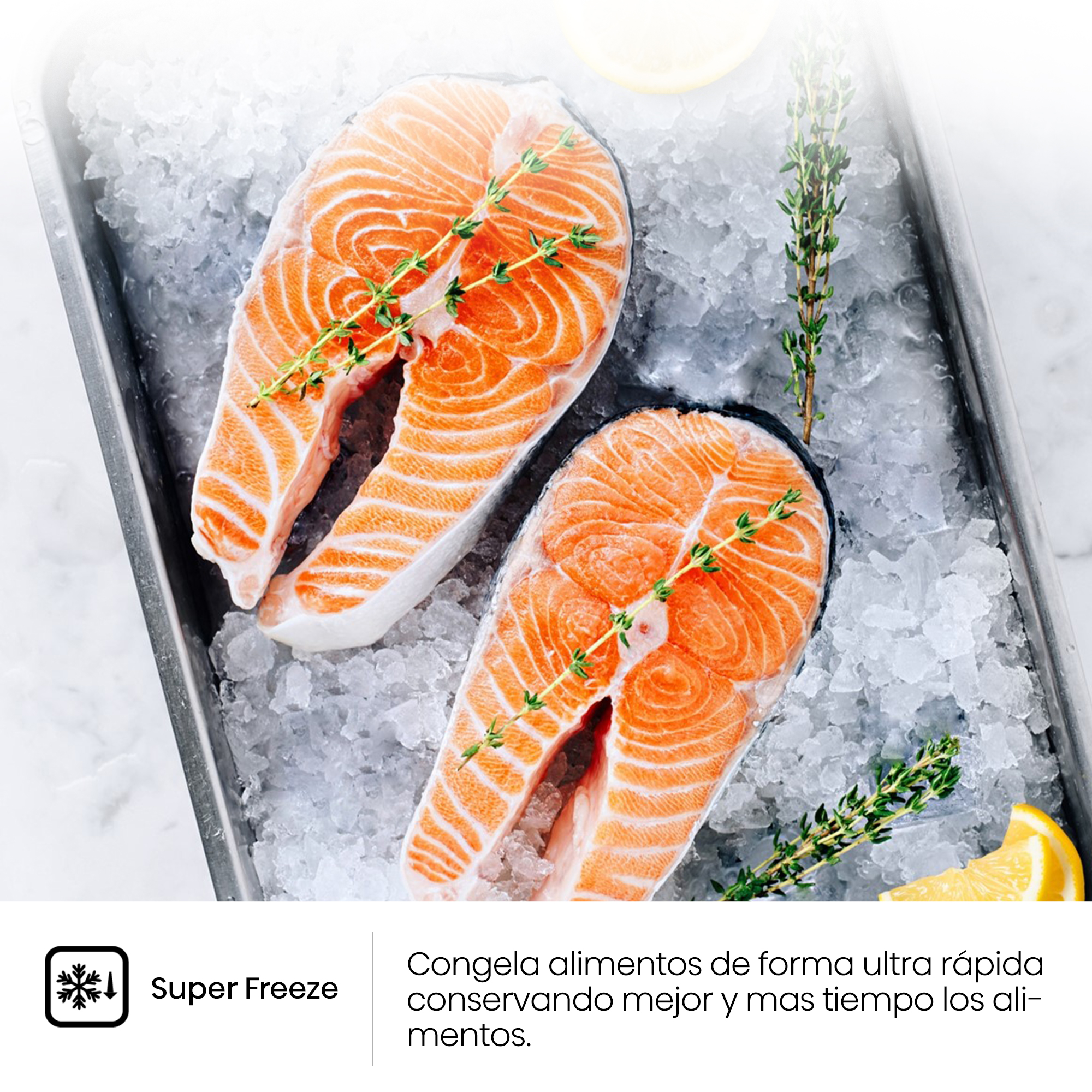 Dos filetes de salmón sobre hielo. Hierbas verdes y una rodaja de limón cerca de los filetes.