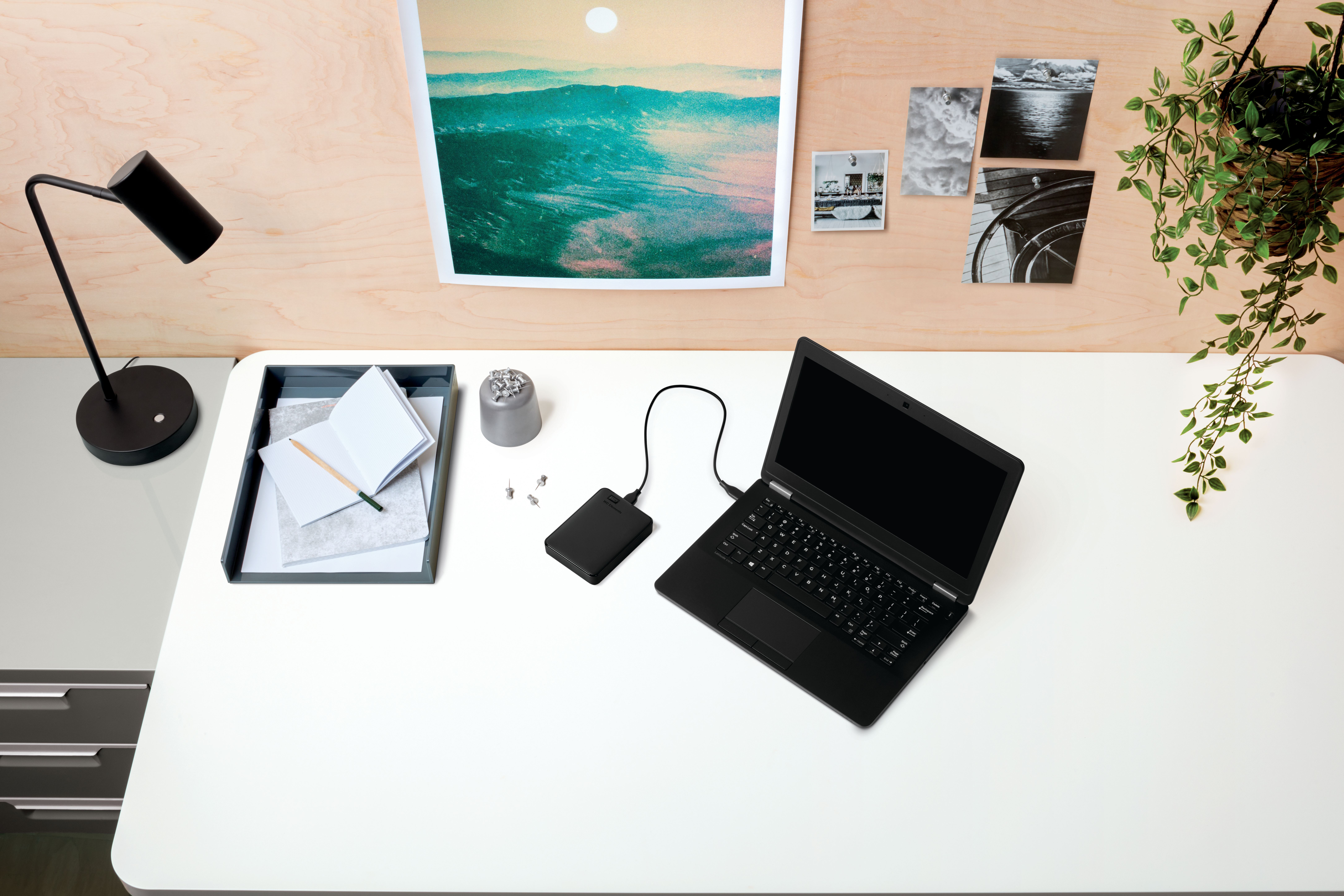 WD Elements™ Portable Festplatte, 1 TB HDD, 2,5 Zoll, extern, Schwarz