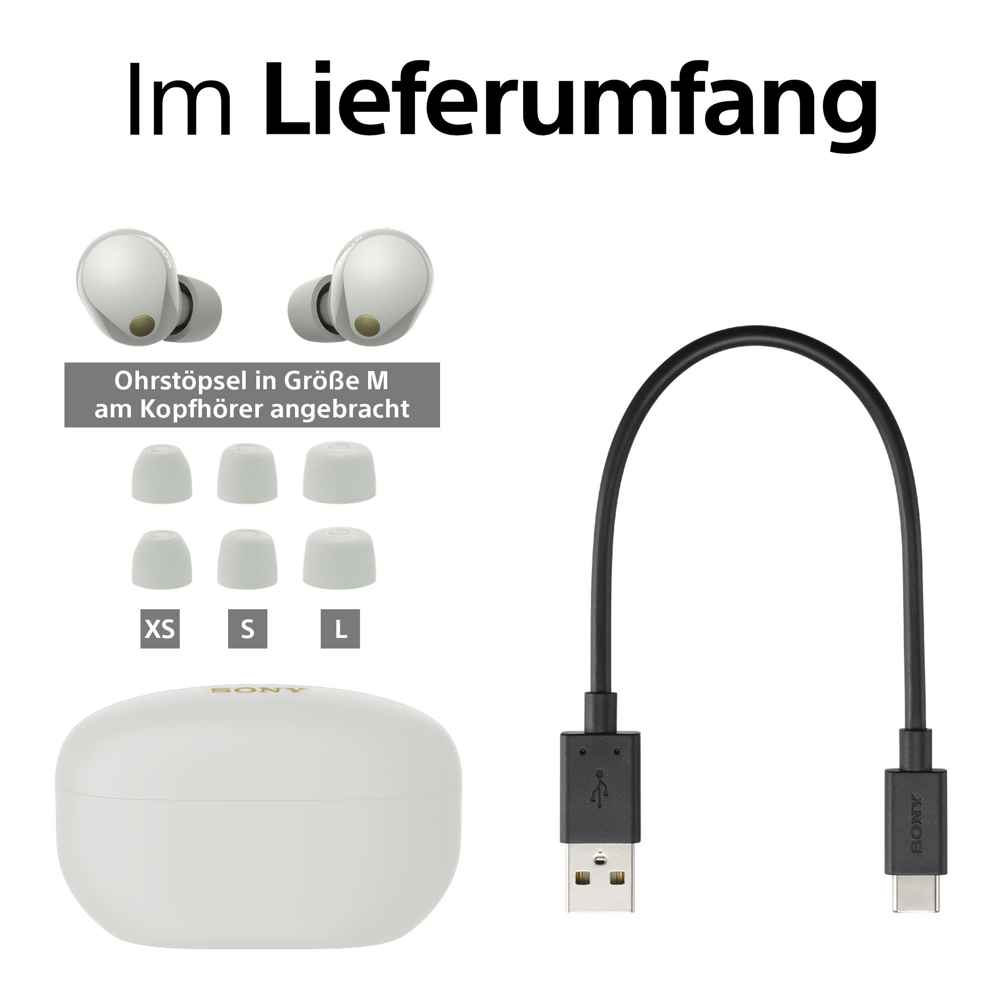 Ohrhörer, Ladecase und USB-Kabel. Ohrstöpsel in XS, S, L und M Größen sind enthalten.