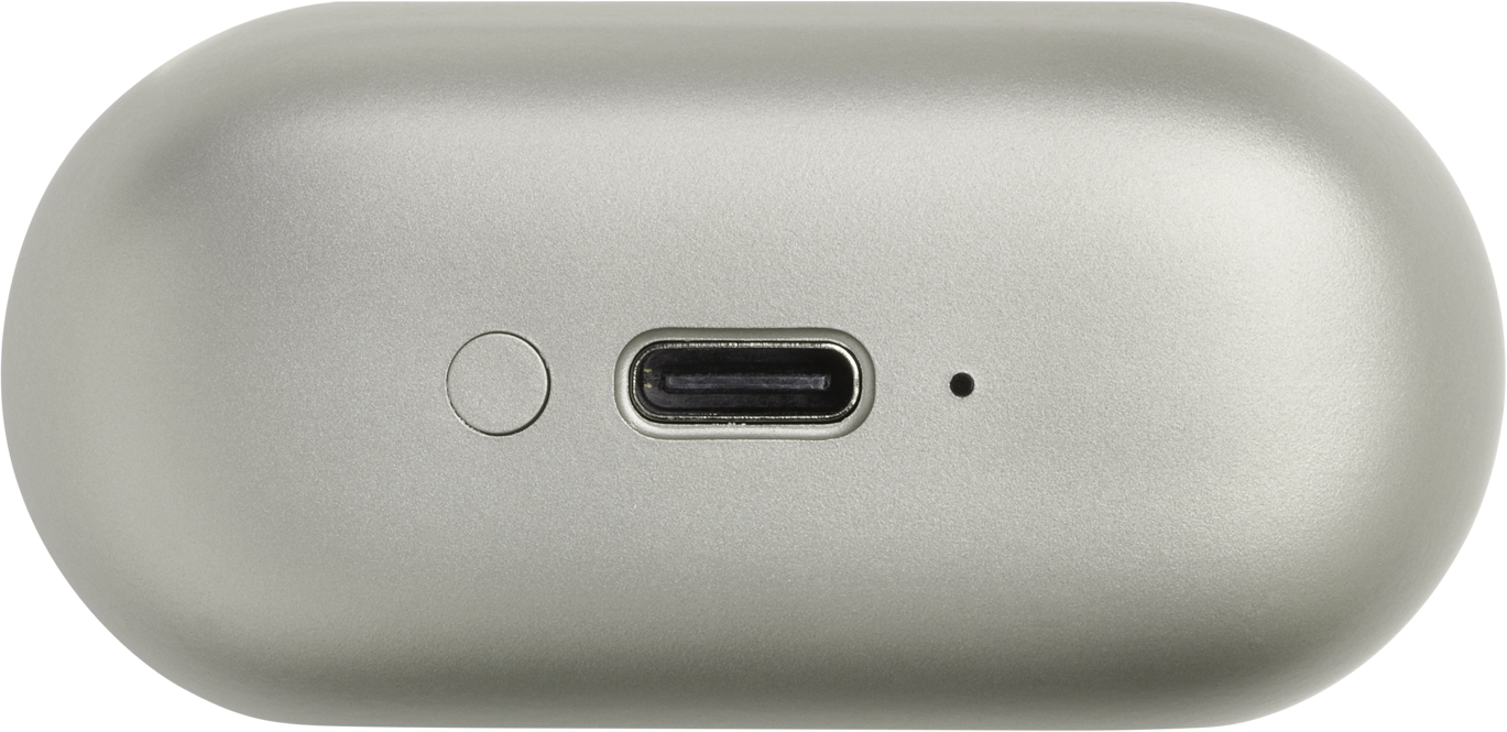Silbernes Ohrhörer-Etui mit USB-C-Anschluss. Weißer Hintergrund.