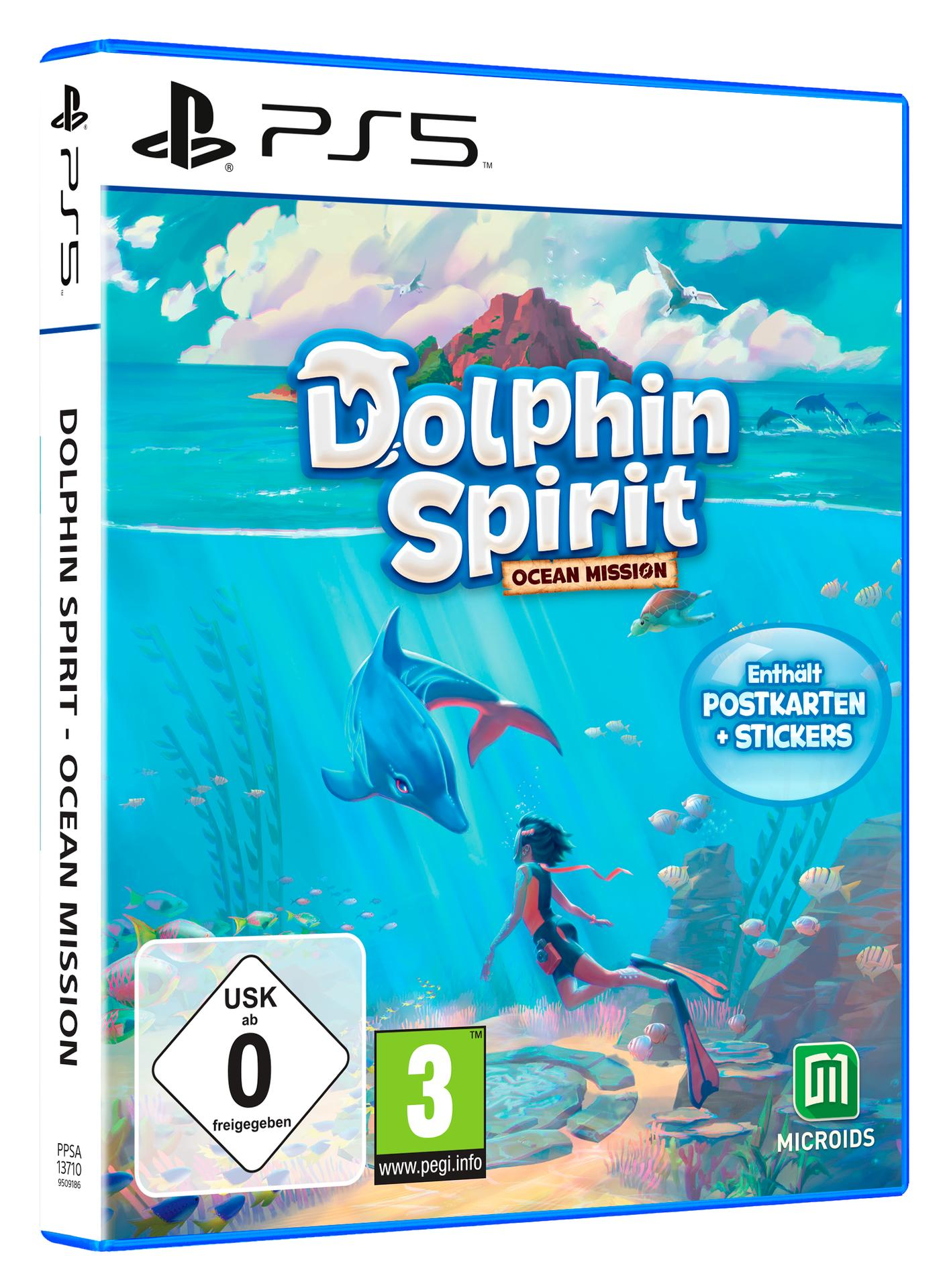 Spielbox von Dolphin Spirit. Ein Delfin schwimmt unter Wasser. Eine Person im Wasser. Blauer Umschlag.
