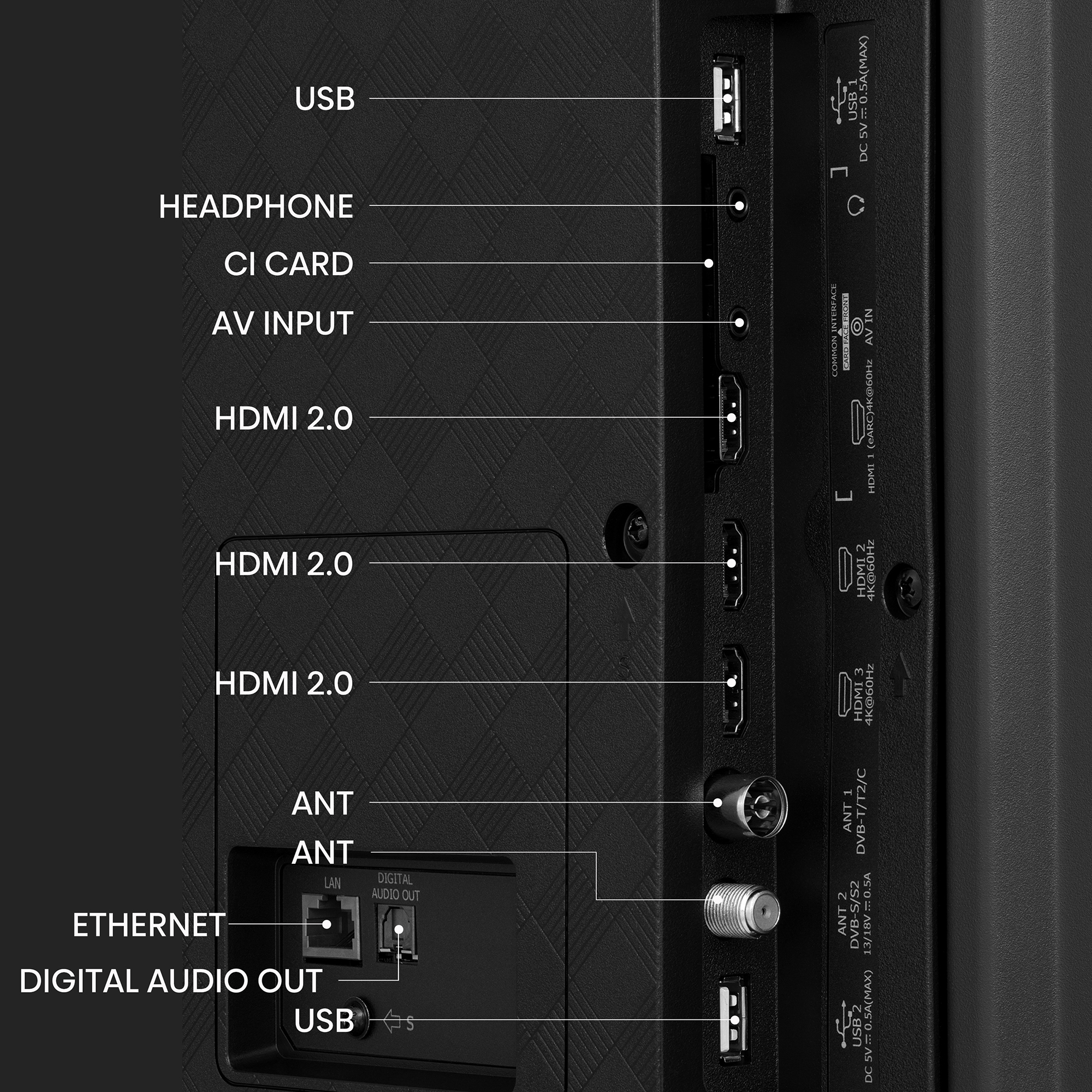 Panel trasero del televisor con puertos etiquetados. Fondo negro.