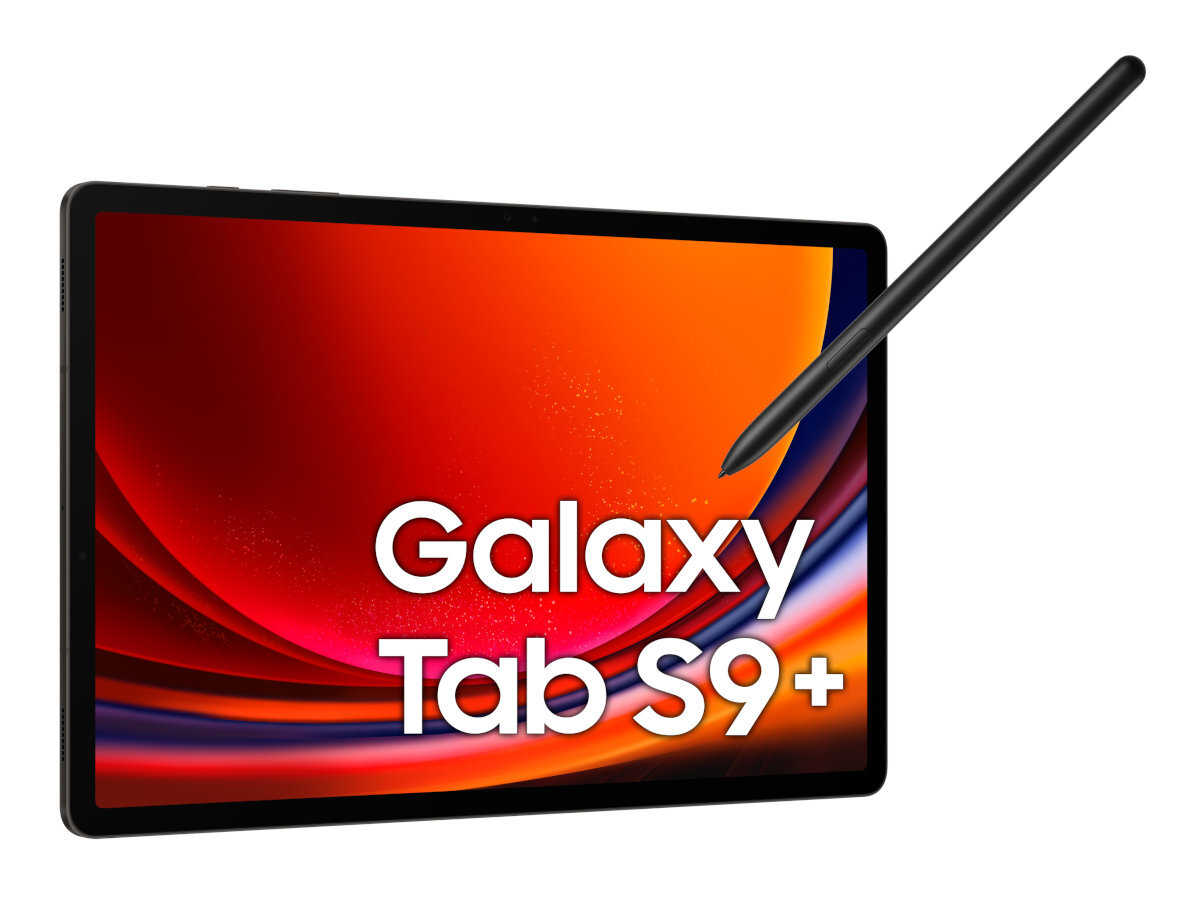 Tablet SAMSUNG Galaxy Tab S9+ 12.4 WiFi 12GB 256GB Szary SM