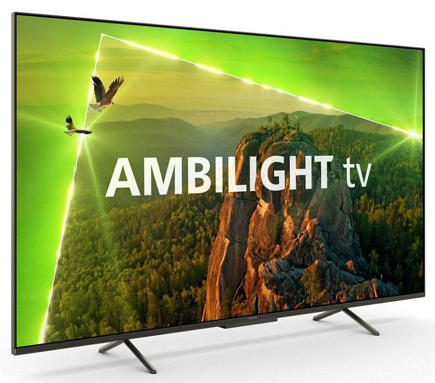 Duży telewizor z 'Ambilight' i dynamicznym krajobrazem z ptakami.