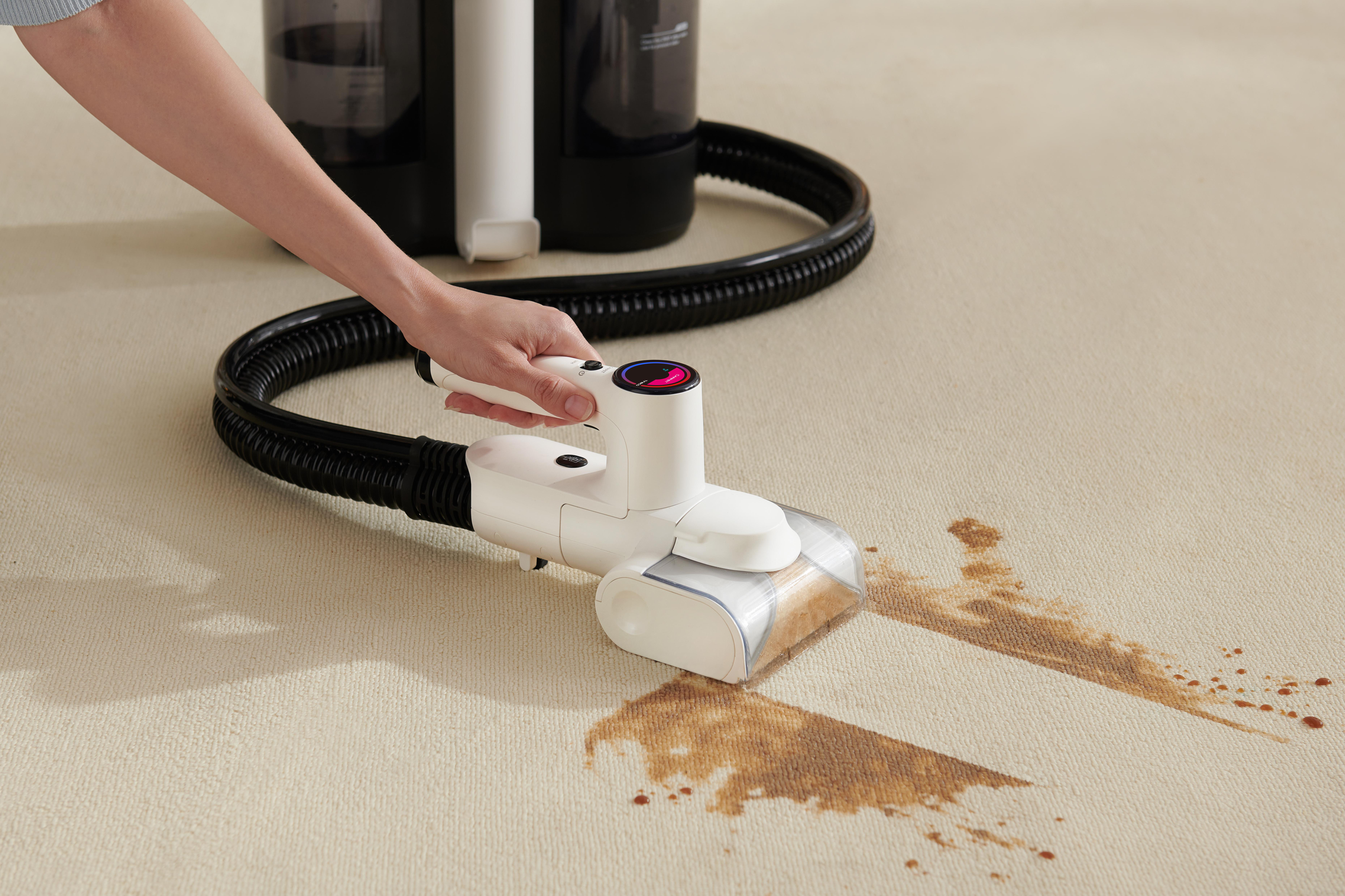 Hand reinigt einen braunen Fleck auf einem beigen Teppich mit einem Reinigungswerkzeug.