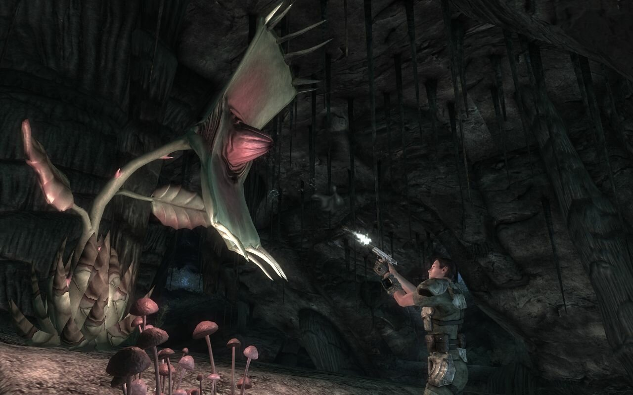 Gra PC PKK Fallout New Vegas Wydanie Kompletne