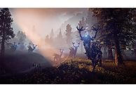 Gra PS4 HITS Horizon Zero Dawn Complete Edition (Kompatybilna z PS5)