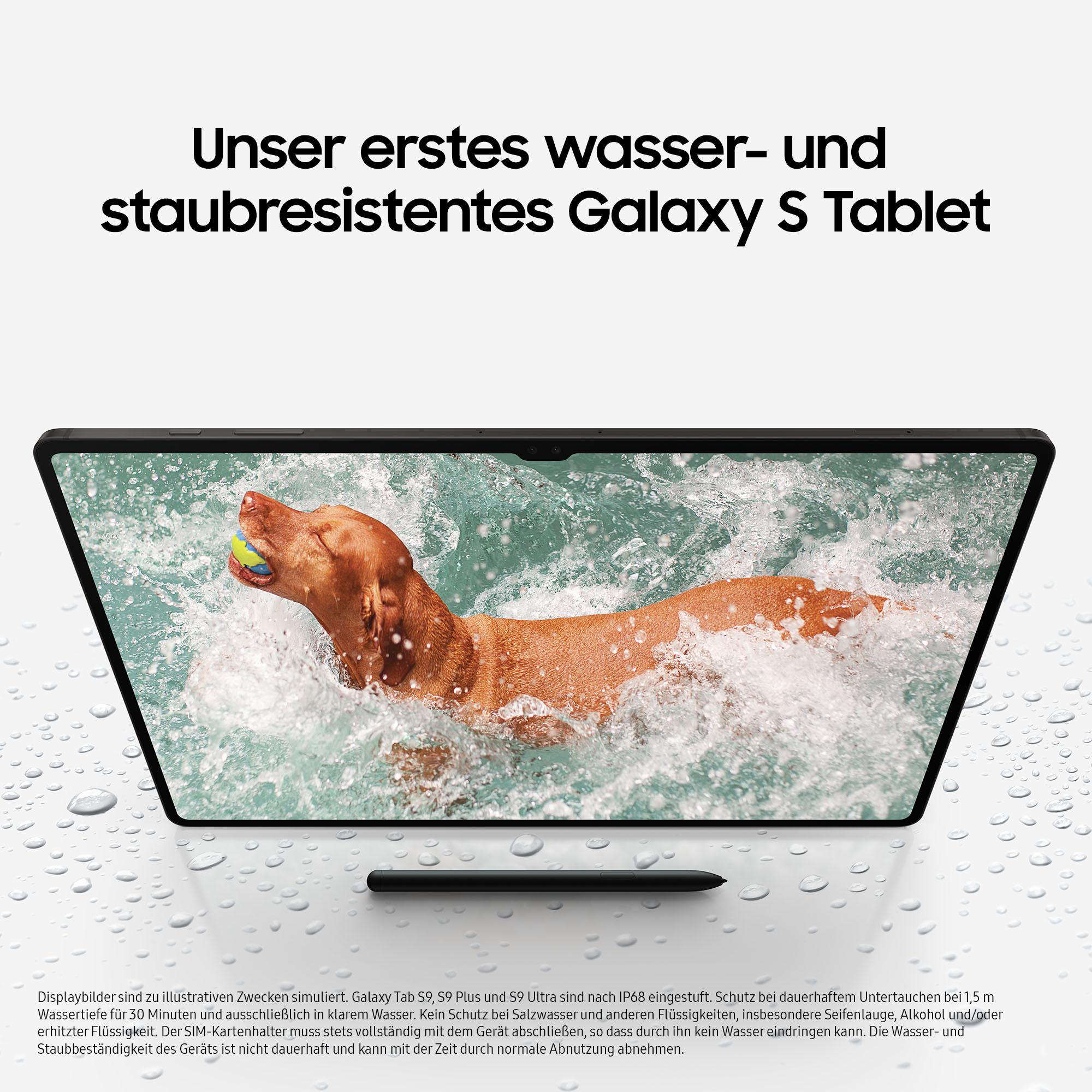 SAMSUNG Galaxy Tab S9+, Tablet, 256 GB, 12,4 Zoll, Beige