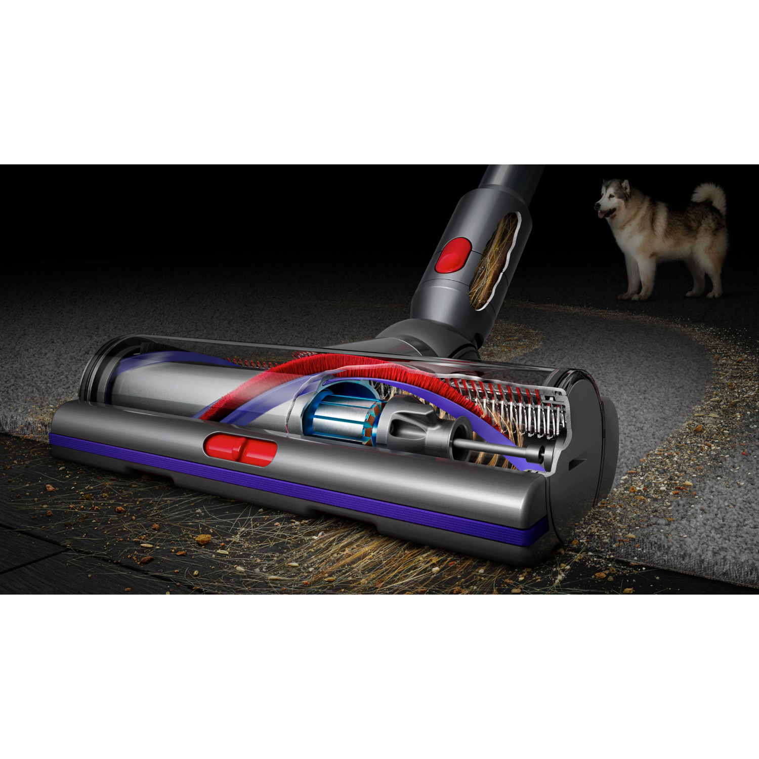 Stofzuigerkop met doorsnede die interne onderdelen toont. Een hond op de achtergrond.