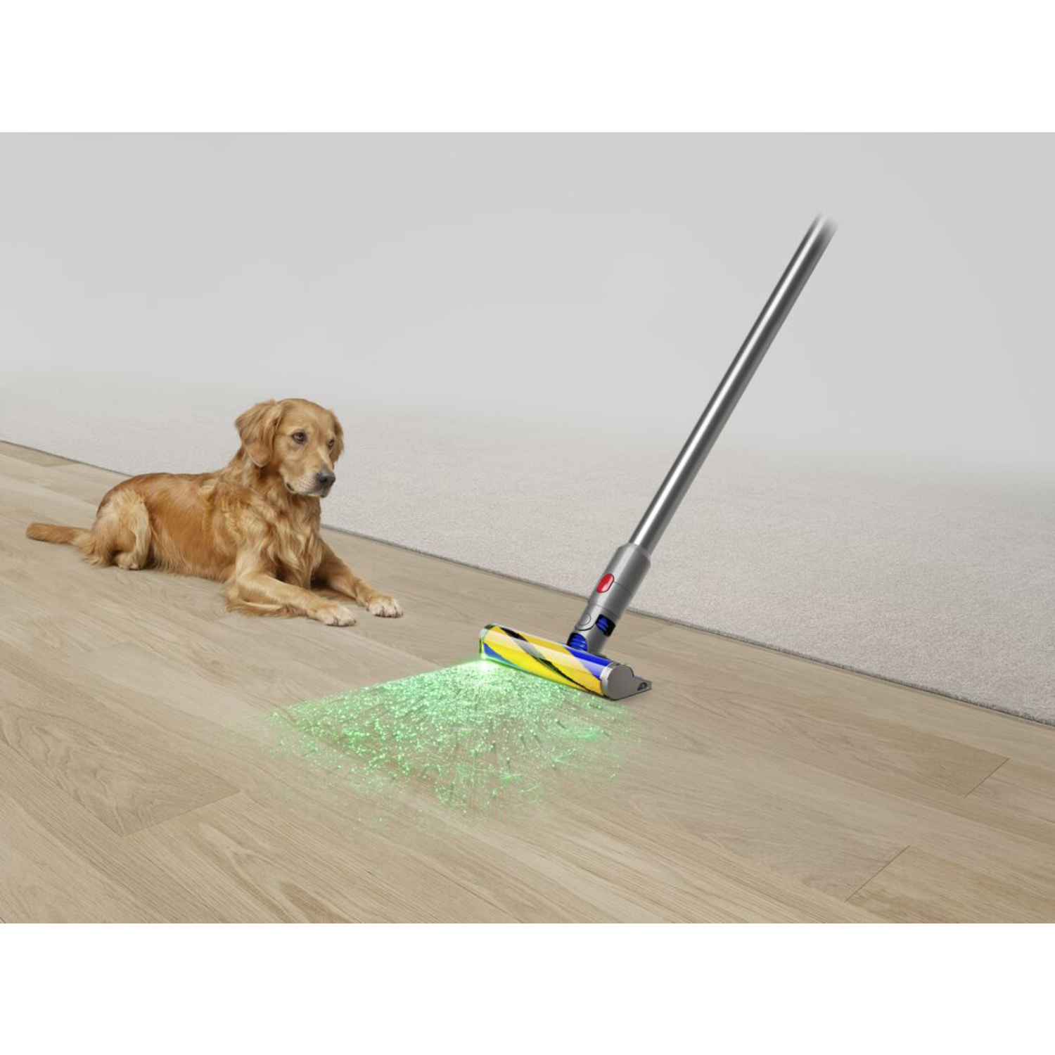Golden Retriever bekijkt een stofzuiger die groen licht op een houten vloer schijnt. Schone vloer.