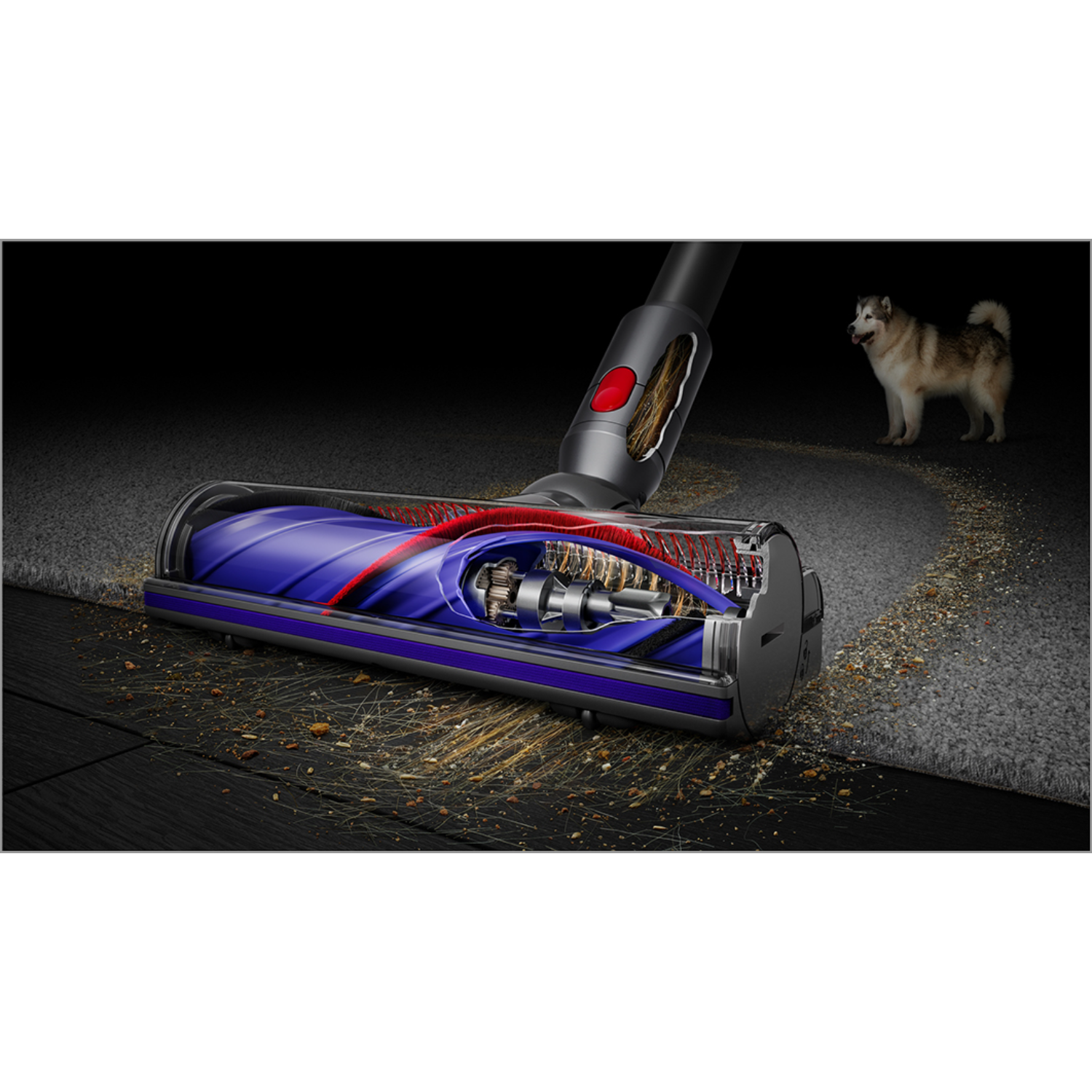 Dyson stofzuigerkop op een tapijt. De binnenkant is zichtbaar, een hond op de achtergrond.